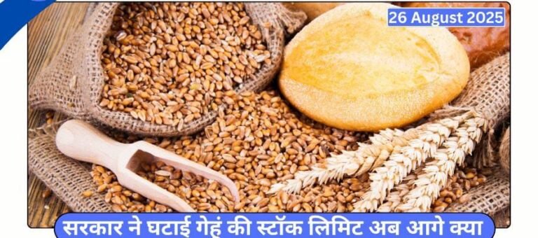 सरकार ने घटाई गेहूं की स्टॉक लिमिट अब आगे क्या