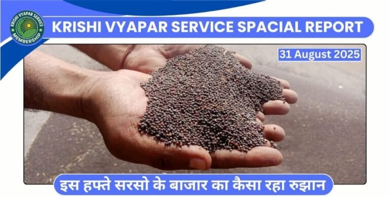 सरसों बाजार में कैसा रहा रुझान जानें इस रिपोर्ट में